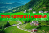 菠萝蜜桃青春盛宴18岁精彩瞬间