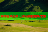 蜜桃视频盛宴 让你沉醉的视听之旅