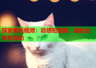 探索蜜桃视频：动感短视频，轻松分享与互动