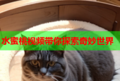 水蜜桃视频带你探索奇妙世界